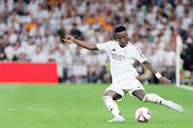 屡获佳绩的 屡获佳绩的