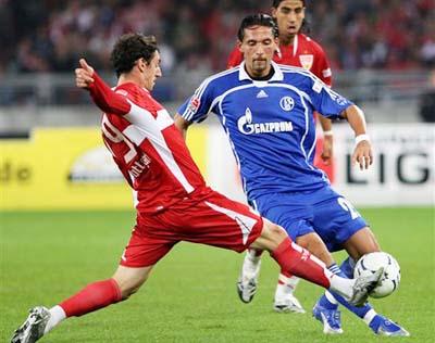 他们皆以 他们皆以